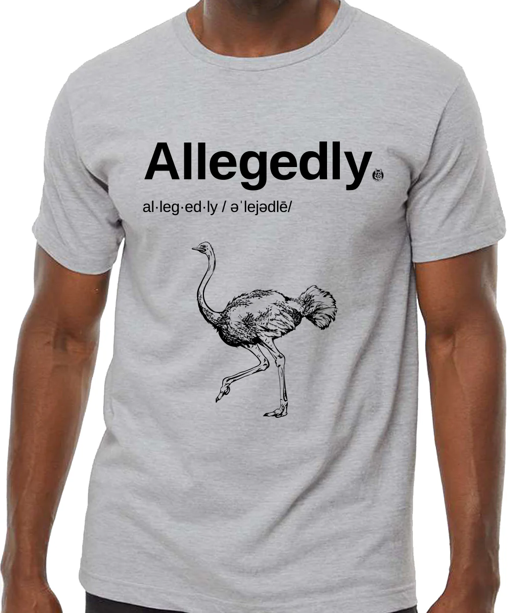 Allegedly T-Shirt - Image 3